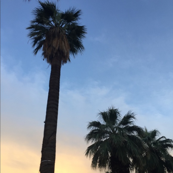 Meet your Posher, Bremmie Vintage - Picture 4 of 8